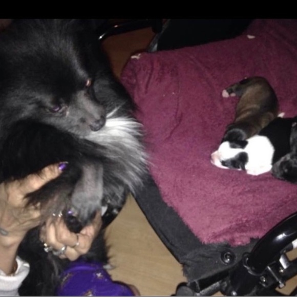 kaytoo boo need you Other - Néw offer please read it’s spectacular!🤗